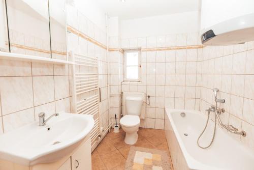 HoštejnSchupplerova vila的浴室配有卫生间、浴缸和水槽。