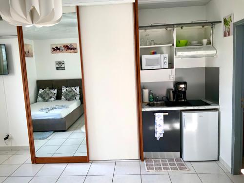 库鲁LE ROSA PARKS CLÉMARTHA的一个带厨房和床的房间的镜子