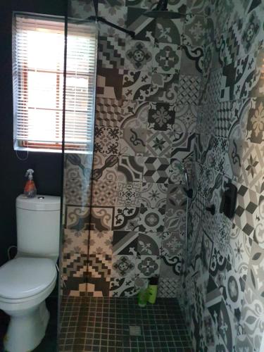 约翰内斯堡Melvilla Studio的一间带卫生间和淋浴的浴室