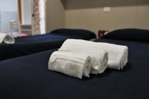 达沃利Hotel Villa Susy的两张床上铺着一条白色毛巾