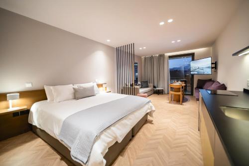 利马索尔Alinea Suites Limassol Center的一间酒店客房 - 带一张床和一间浴室