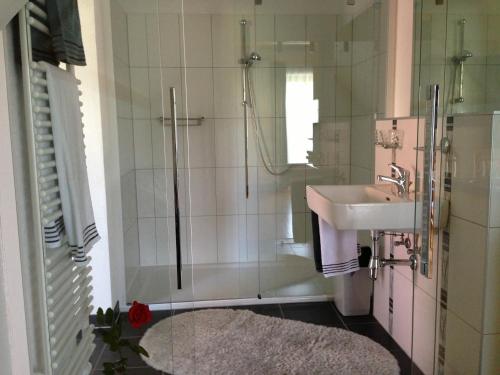 Wenigzell豪斯玫瑰宾馆的一间带水槽和淋浴的浴室