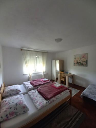 Vrhovine韦利科农家乐的一间卧室设有两张床和窗户。