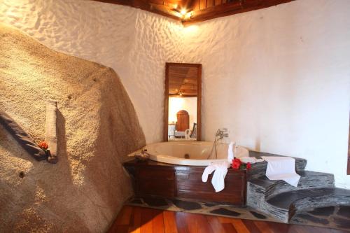 安西沃尔伯特村Chauve Souris Relais的带浴缸和镜子的浴室