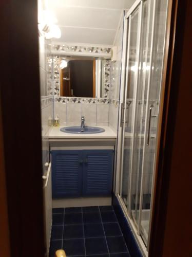 默兹河畔凡尔登VILLA CHANTAL的一间带水槽和镜子的浴室