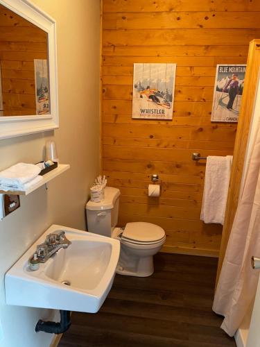 梅干提克湖Auberge et Chalets sur le Lac的浴室配有白色水槽和卫生间。