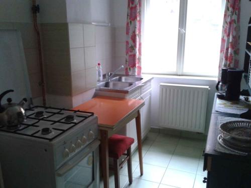 蒂豪尼Holiday home in Tihany/Balaton 20236的小厨房配有炉灶和水槽