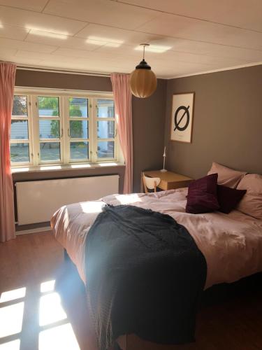FjællebroenAskes Oase Guest Apartment的一间卧室设有一张大床和一个窗户。