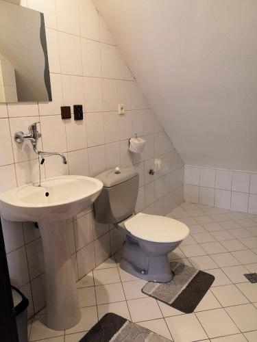 Dlhá nad OravouUbytovanie u Božky的一间带卫生间和水槽的浴室