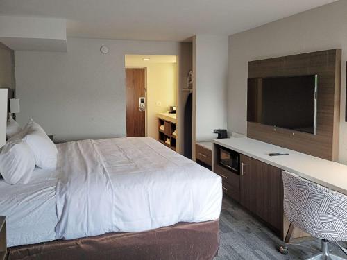 Comfort Inn & Suites Wyomissing-Reading客房内的一张或多张床位