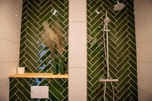 BlesdijkeNatuur lodge的浴室设有绿色瓷砖和淋浴。