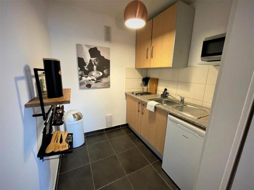 弗莱堡Design Apartment Vendome的一个带水槽和柜台的小厨房