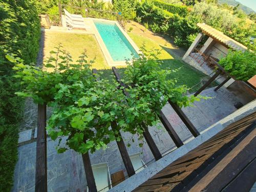 克里皮吉Fruit Garden Villas的享有游泳池和树的上方景色