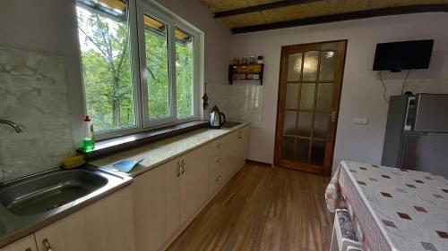 迪利然DILI Cottage的一个带水槽和窗户的大厨房