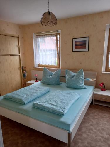 伦斯泰格地区施米德费尔德Rennsteigwohnung Rust的一间卧室配有一张带蓝色枕头的大床