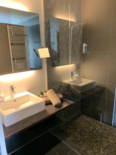 哈勒古斯托住宿加早餐旅馆的一间带水槽和玻璃淋浴的浴室
