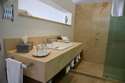 阿吉吉克La Reserva Chapala的一间带水槽和淋浴的浴室