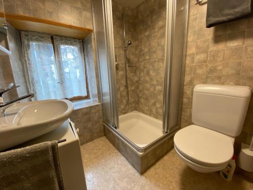 WilerSunnu-Loft的浴室配有卫生间、淋浴和盥洗盆。