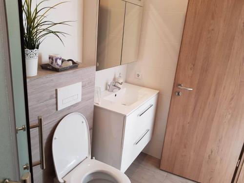 塞尔福斯Guesthouse Henia Bed&Spas的一间带卫生间、水槽和镜子的浴室