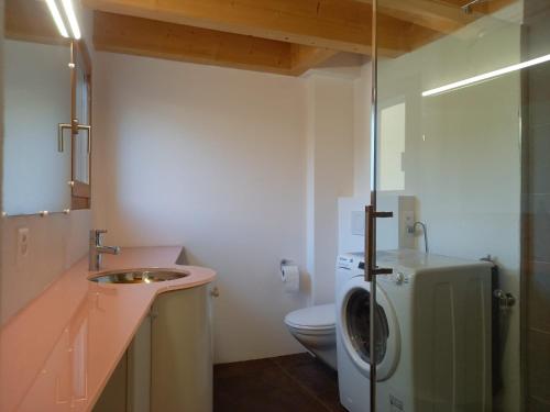 洛索内LA TICINELLA的一间带卫生间和洗衣机的浴室