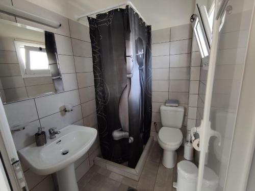 斯沃伦塔Casa De Rosa Apartments & Studios的浴室设有黑色淋浴帘和卫生间。