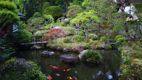 身延宿坊觉林坊日式旅馆的花园内设有一个放风筝的池塘
