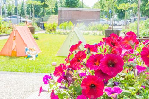 多廷赫姆Villa Wanrooy的公园里的一组帐篷和鲜花