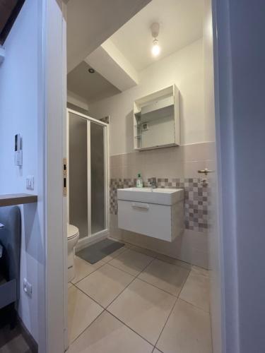 耶西L'ANTICA FALCONERIA的一间带水槽和卫生间的浴室