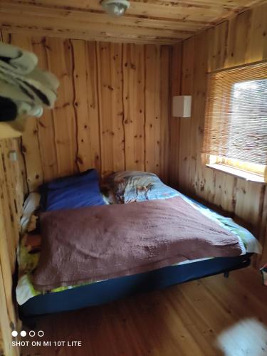 KülitseBeautiful private cabin near Tartu的小木屋内的一张床位,设有窗户