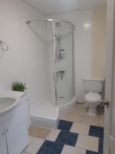 温彻斯特61的带淋浴和卫生间的浴室
