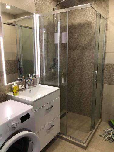 豪伊杜索博斯洛Oasis Residence的带淋浴和洗衣机的浴室