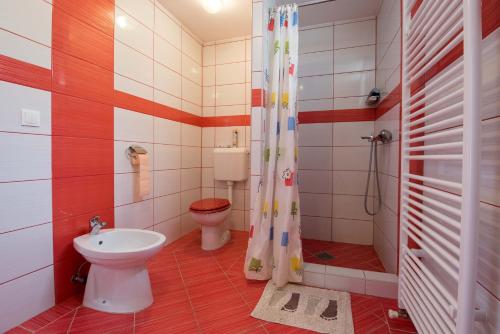 达鲁瓦尔Country House Vrbovčanka的一间带卫生间和水槽的浴室