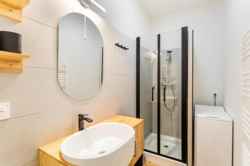 圣马洛Les Lauriers - dans l'Intramuros的一间带水槽和淋浴的浴室