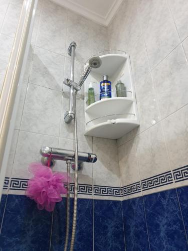 奥维多Alberto Astur Habitaciones privadas màs cocina compartida的带淋浴的浴室,墙上有架子