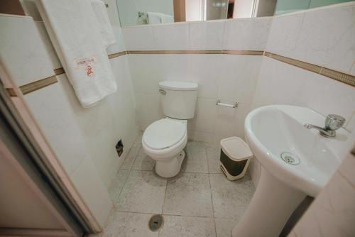 瓦努科Hostal Spring的一间带卫生间和水槽的小浴室