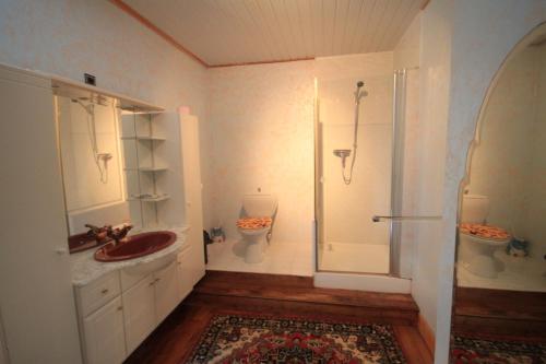 QueyssacVakantiehuis 10 personnes的带淋浴、盥洗盆和卫生间的浴室