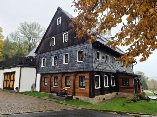 哲汀泊德勒瓦Apartmány Tollendorf Lužické hory的一座大型木房子,设有黑色屋顶