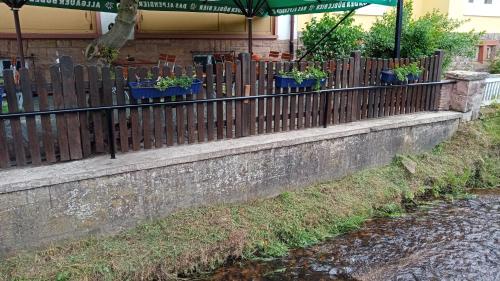 巴特欧波Landgasthof Zum Heidekrug的河边有盆栽的栅栏