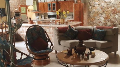 埃尔巴列德安通Valle Luna的客厅配有沙发和桌子