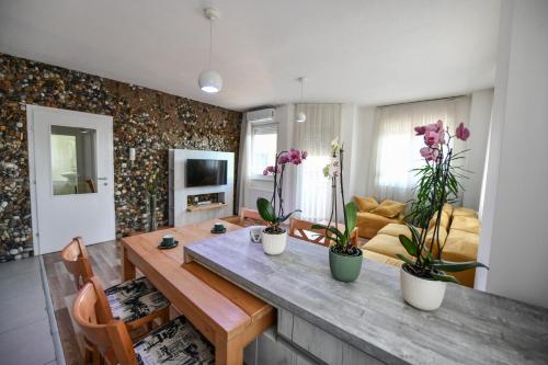 科查尼Exclusive 7- New Modern Cozy Apartment的客厅里设有植物桌子