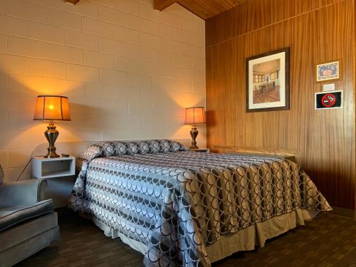 梅迪辛哈特Ace Crown Motel的一间卧室配有一张床、两盏灯和一张沙发。