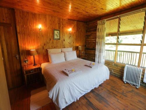 马格巴斯科鲁夫Mountain Fly Fishing的木制客房内的一间卧室,配有一张床
