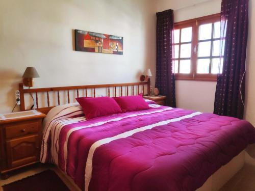 蒂亚斯El timple的卧室配有一张大紫色床和窗户