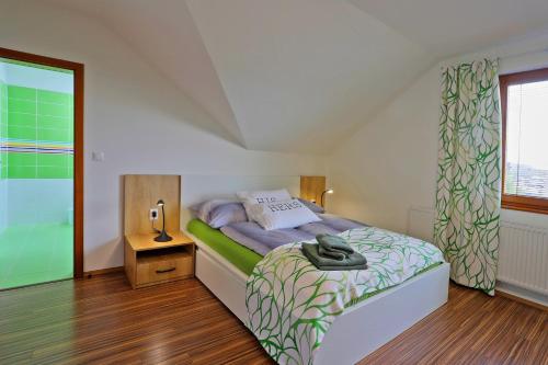 卡罗维发利ELTAKO penzion的一间卧室设有一张床和一个大窗户