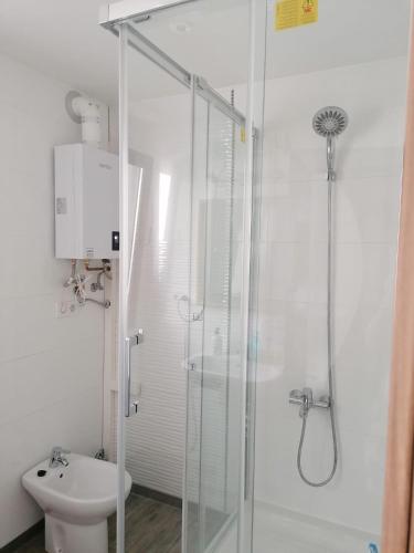 瓦伦西亚Malvarrosa apartamentos的一间带玻璃淋浴和卫生间的浴室