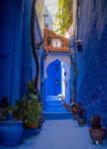 舍夫沙万Casa Blue Star的蓝色的小巷,有蓝色的门和一些植物