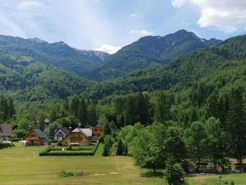 博希尼Accommodation Destina, LAKE BOHINJ的山 ⁇ 的村庄