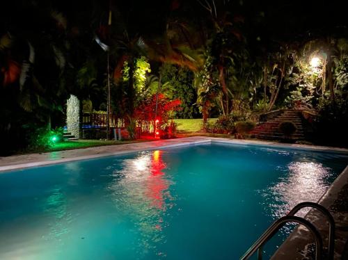奥莫阿Plasencia Estate的夜间游泳池,院子里有灯光