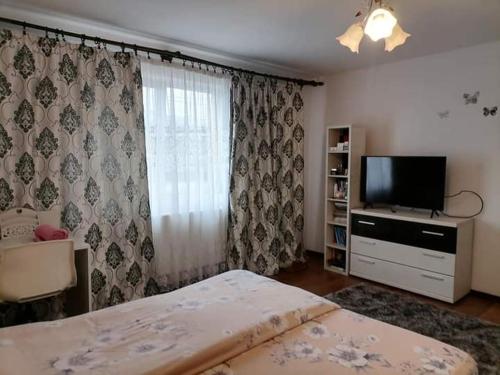 锡盖图马尔马切伊Pensiunea Brezu的一间卧室配有一张床和一台平面电视