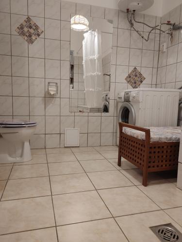 奥巴曹洛克Rokoko Apartman的一间带洗衣机和卫生间的浴室